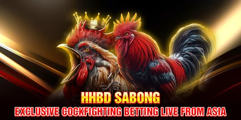 HHBD Sabong – Exclusive Cockfighting Betting Live from Asia